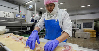 В 2021 году в России увеличилось производство рыбного филе и лососевой икры