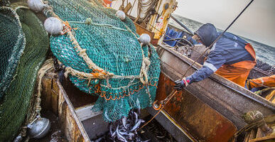Рыбаки Приморья не планируют снижать объемы добычи водных биоресурсов