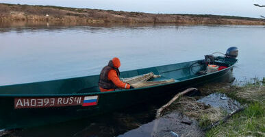 На реках Большая и Утка зафиксирован высокочисленный скат молоди горбуши