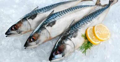 Рыбные ряды: за неделю цены на мороженую рыбу продолжают снижение