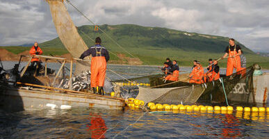 Рыбаки на Камчатке с начала путины вдвое превысили прогноз рыбхозяйственной науки по вылову лососей
