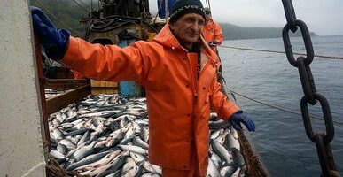 Российские рыбаки увеличили освоение пресноводных объектов: уровень добычи вырос на 4,5% — до 36,8 тыс. тонн
