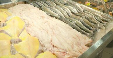 На Камчатке усилят работу по продвижению рыбопродукции на внутренний рынок