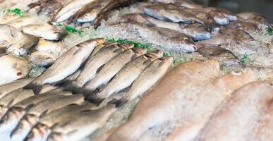 Ситуация с ценами на рыбу – ФАС клюнула на заявление Росрыболовства