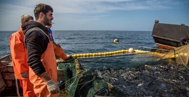 Рыбаки Сахалина почти выполнили прогноз по добыче кеты и горбуши на 2023 год
