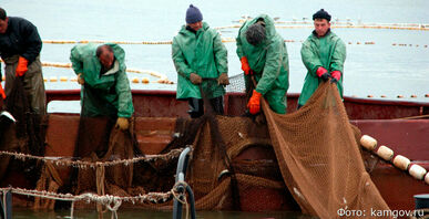 Три камчатские рыболовецкие компании оштрафованы за неучтённый улов