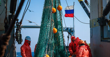 Российские рыбаки в 2025 году могут остаться без квот на мойву, путассу и морского окуня