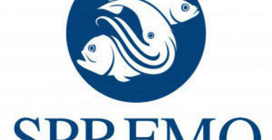 Международная сессия по рыбе Южной Пацифики пройдет в Петербурге