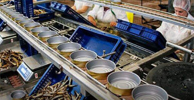 В мутной воде: 89% российских рыбных консервов сочли некачественными